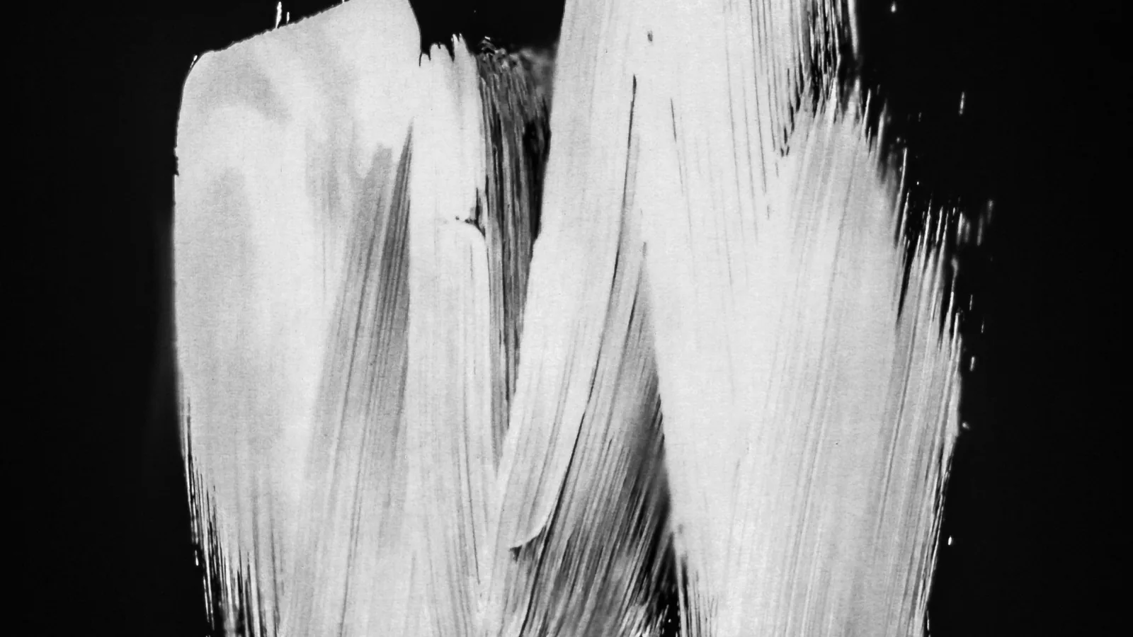 Abstract white brush strokes